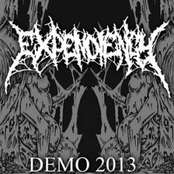 Expendiency : Demo 2013